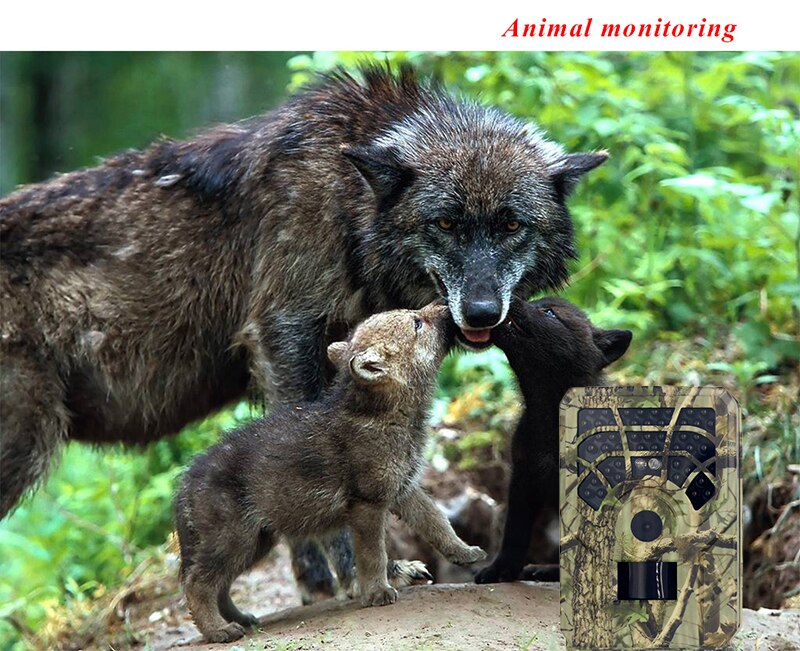 PR300A Infrared Night Vision Wildlife Trail Camera