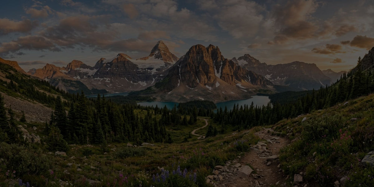Scenic rocky hiking trail leading through pine forest toward stunning alpine lake